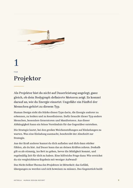 Seite 9: das Kapitel über den Typ Projektor